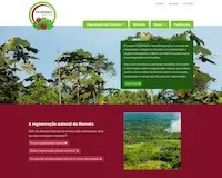 regenera amazônia